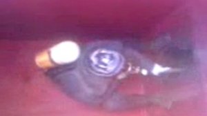 Как надо чистить сельский туалет