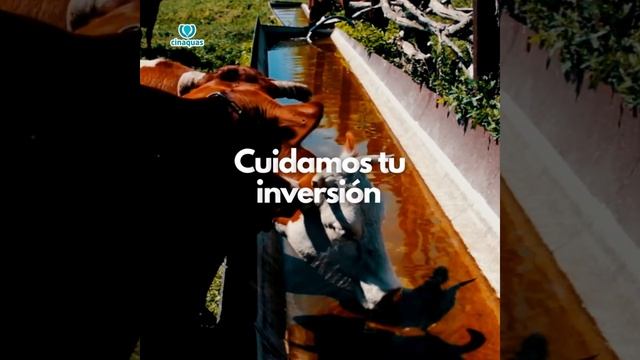 Bombas de agua solares para ganaderia смотреть онлайн