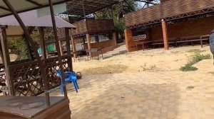 Дневная рыбалка на базе отдыха "Лагуна", Ставропольский край, с.„Казинка". 8 октября 2023г.