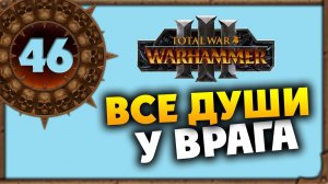 Все души у врага Борис Боха прохождение Total War Warhammer 3 за Кислев - #46