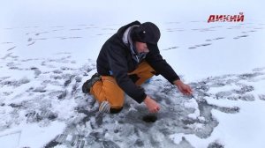 Секреты успеха. Свой кивок и секретная прикормка на форель