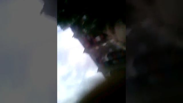 Собака повалила человека! !!???-#_2_#_%/!/' смотреть онлайн