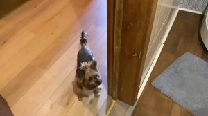 Мы уехали из Донбасса. 25 сентября 2023. Полтавская область. Каменское водохранилище. База Ореховая