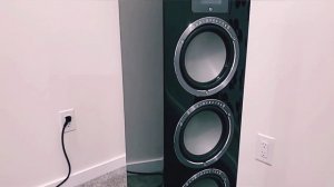 Audiovector QR5 Test Track [Birds - Dominique Fils-Aimé]