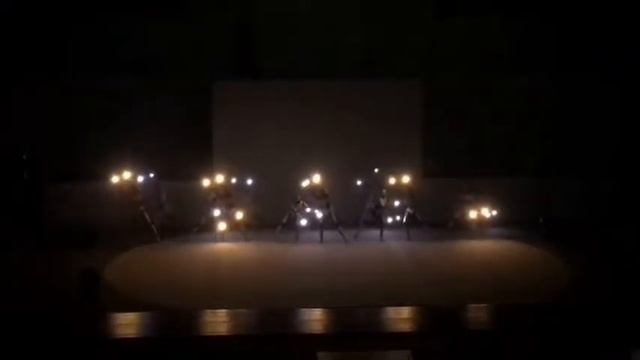 Олимпийские чемпионы