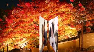 Николай Берег - Чужая