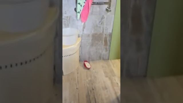НОВАЯ ДАЧА ВАННА ТУАЛЕТ УМЫВАЛЬНИК