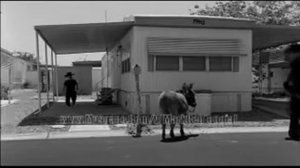 Killers - All These Things That I've Done ( Peter Hook )