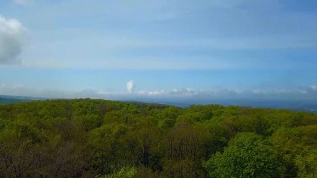 Расслабляющая музыка с пением птиц - красивая фортепианная и гитарная музыка от Soothing Relaxation смотреть онлайн