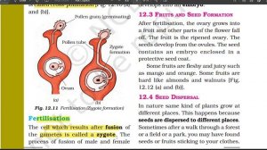 Reproduction in Plants (part-2) | Chapter 12 | Class 7 Science | NCERT