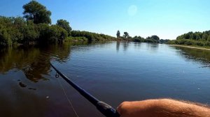 Рыбалка на Припяти! Щука клюёт одна за одной! Припять 2021.