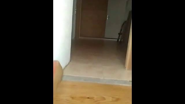 Аренда в Крыму, сдаю номера в гостевом доме. Хозяйка смотреть онлайн