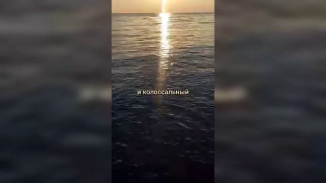 Сообщество Золотая Раса.                       Кто Мы.