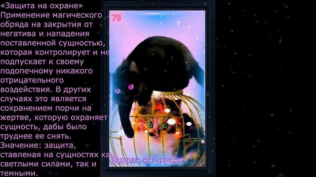 Отзыв  Оракулы магическая кошка, Авторы  Потомственная Сибирская ведьма Евгения Сорокина и Маг Рома