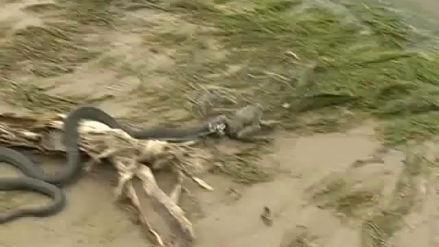 Охота ужа....wmv смотреть онлайн