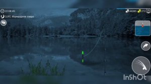 My Fishing World Карась серебряный ловим одну за одной