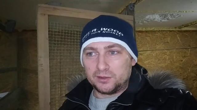 Экстренная помощь при поносе курам смотреть онлайн