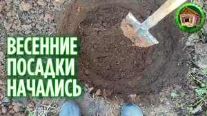 Деревенское хозяйство весной. И копаем и сажаем. 240 серия