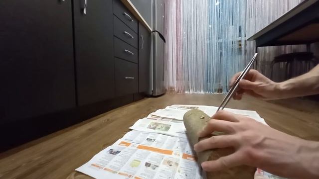 Ежовик коралловидный  cеем на пенек / результат удивит!!!