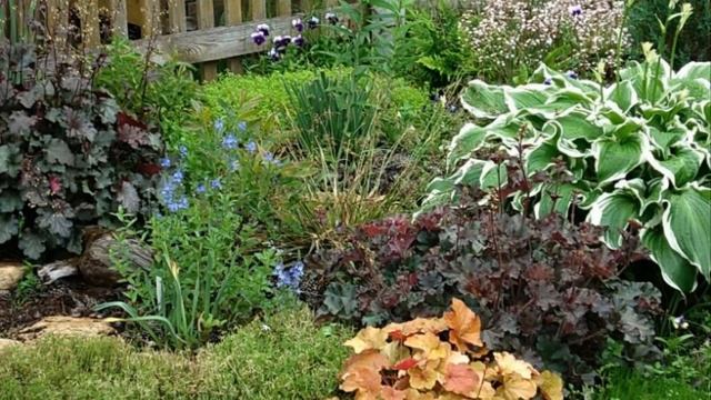 Чудесная гейхера в саду смотреть онлайн