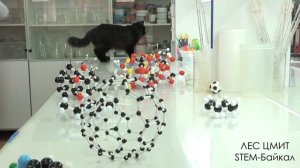 Техника безопасности в физико-химической лаборатории