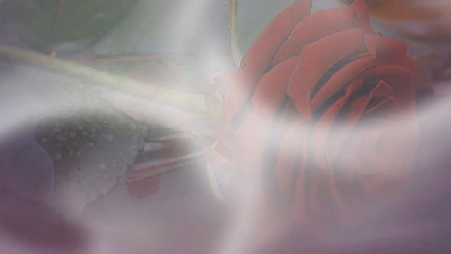 Очень красивое поздравление с Днем Рождения,,,,, женщине,,,,,