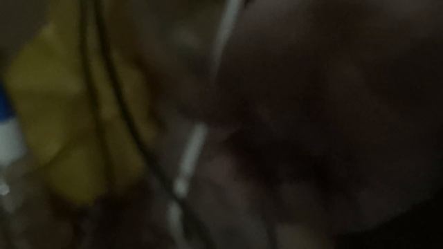 Разведение перепелок в гараже. смотреть онлайн