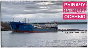 Рыбалка на Фидер в конце Ноября река Дон Бывает и Так