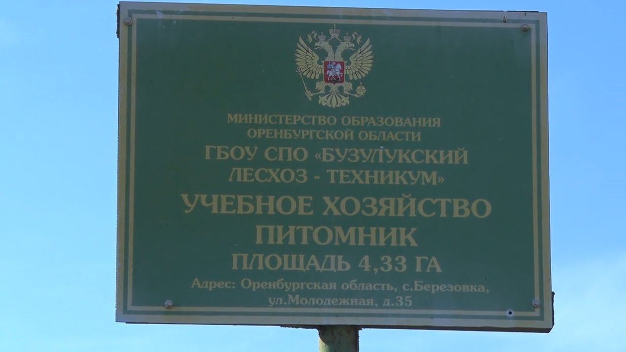 Осенние хлопоты в садовом питомнике Бузулукского лесхоза техникума