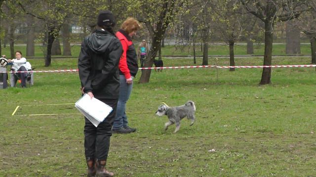 Обидиенс-1. УСКЦ "Останкино" 02.05.2015 г. смотреть онлайн