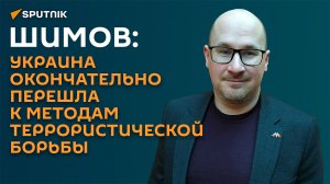 Шимов о взрывчатке в иконах: это доказывает, что Украина занимается террором