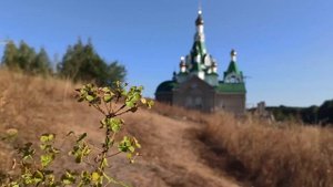 Бабяково ("Над Усманкой-речкой...")