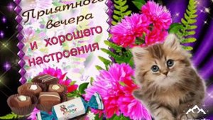 Добрый вечер ! Пожелание доброго вечера ! От котиков ! Good evening !