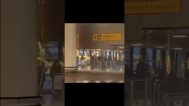 В аэропорту Шереметьево потоп