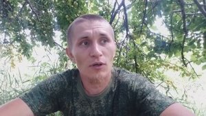 Породы кур для самообеспечения - какие они?