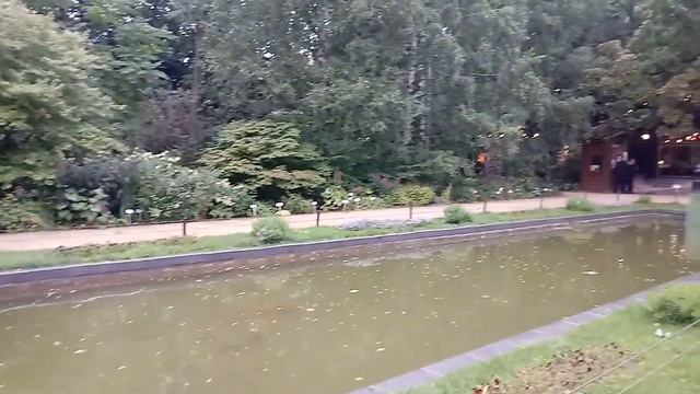 Аптекарский огород в Москве смотреть онлайн