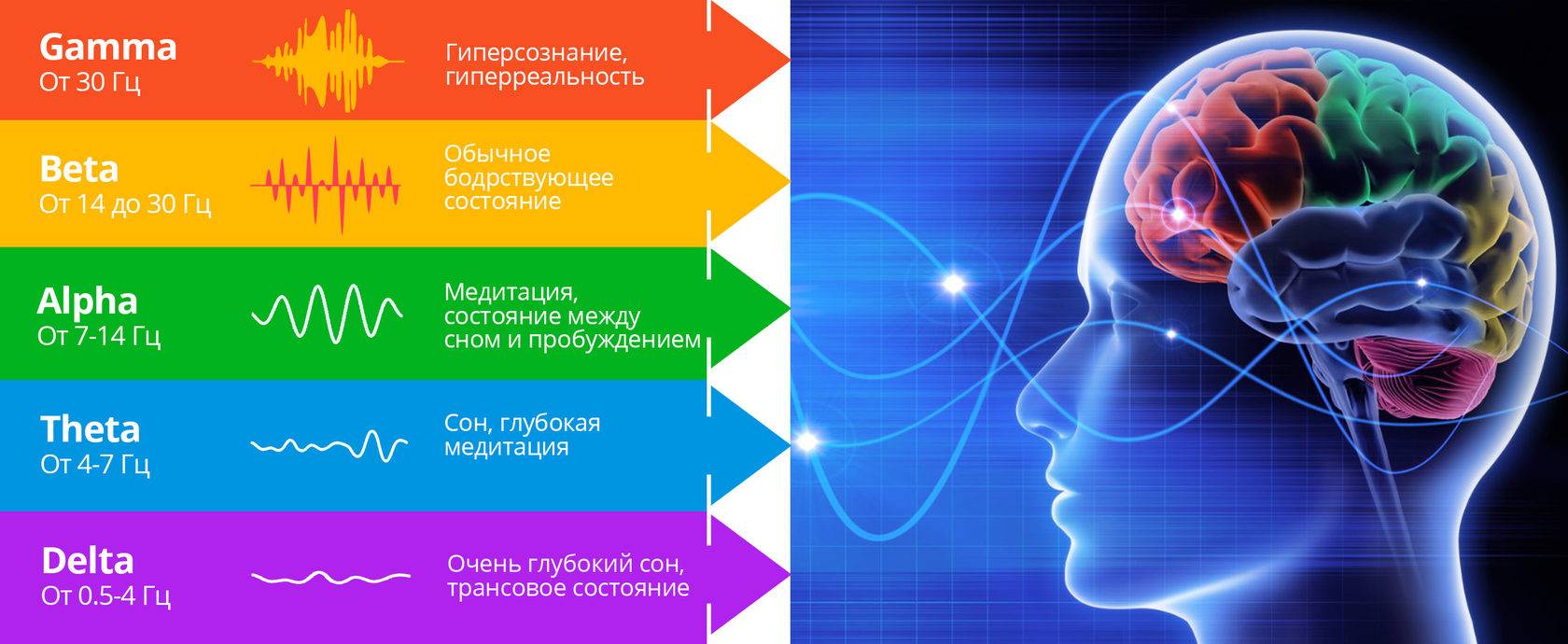 Альф ритм. Волны мозга Альфа бета тета. Мозг Альфа бета гамма волны. Бета Альфа тета Дельта мозговые волны. Дельта, тета, Альфа, гамма волны.