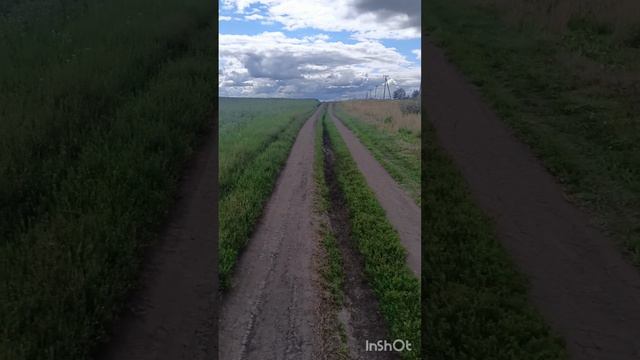 #ПУТЬ В УПРАВЛЕНИЕ #СНТ 2024