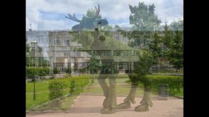 кировск ленинградская область обзор на город Кировск Ленобласть