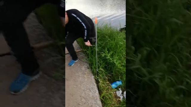 Рыбалка в Лен.области река мелкая, но уловистая! смотреть онлайн