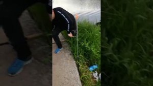 Рыбалка в Лен.области река мелкая, но уловистая!