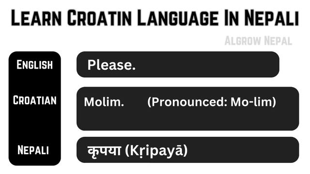 Learn Croatian Language In Nepali || Croatian Basic Sentences & Words In Nepali #croatian