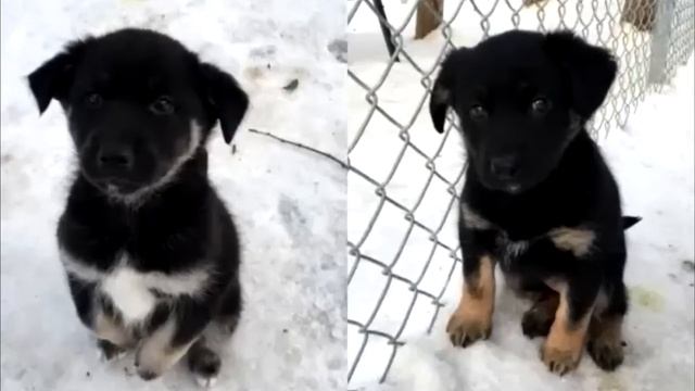 Камера слежения зафиксировала странную картину! Верится с трудом! смотреть онлайн