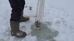 Рыбалка на хапуги! Попал на карасей мутантов!