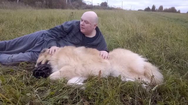 БОШ - "очаровательное чудовище с мотором" смотреть онлайн