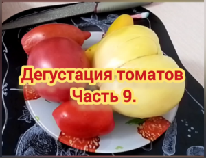 Дегустация томатов. Часть 9.