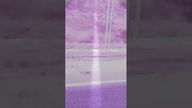Дальняя дорога