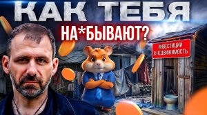 Как хомяк захватил Россию? Хватит быть лохом! Почему Hamster kombat - путь к бедности? Игорь Рыбаков