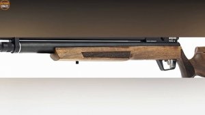 Top 10 Best .25 Air Rifle For Hunting 2024 | Best Air Rifles 2024