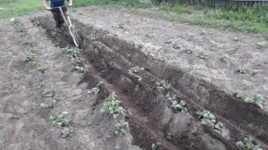 простой самодельный окучник картошки